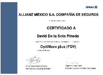Vista previa del certificado profesional 01