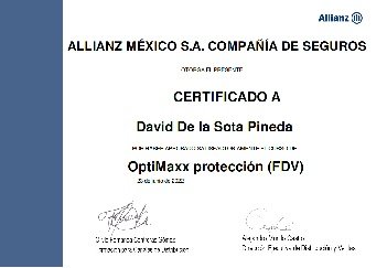 Vista previa del certificado profesional 02