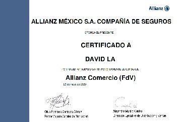Vista previa del certificado profesional 03