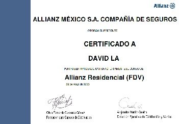 Vista previa del certificado profesional 04